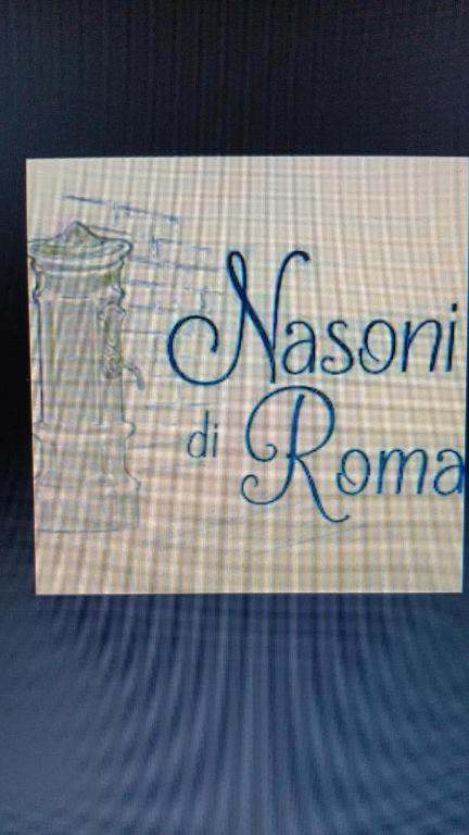 Nasoni Di Roma Aparthotel Εξωτερικό φωτογραφία