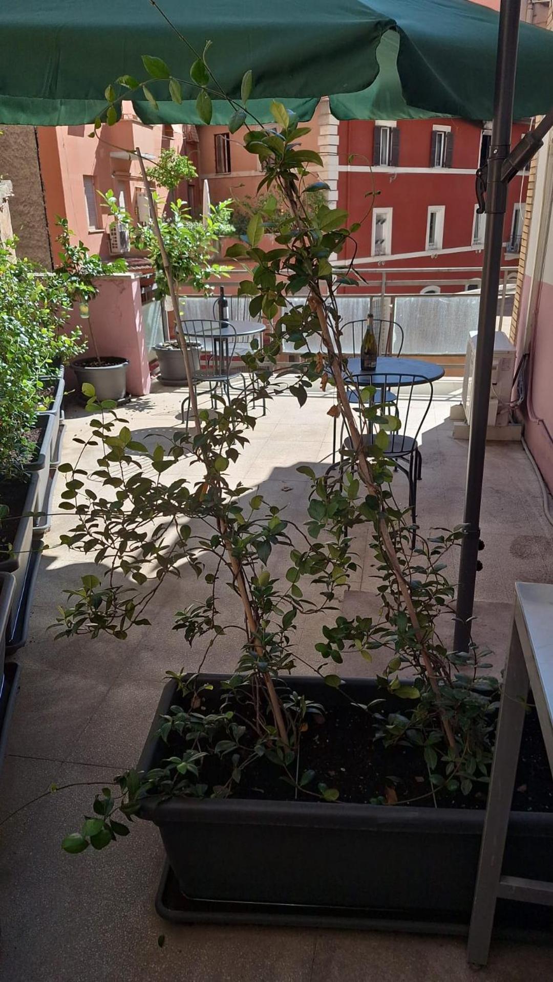 Nasoni Di Roma Aparthotel Εξωτερικό φωτογραφία